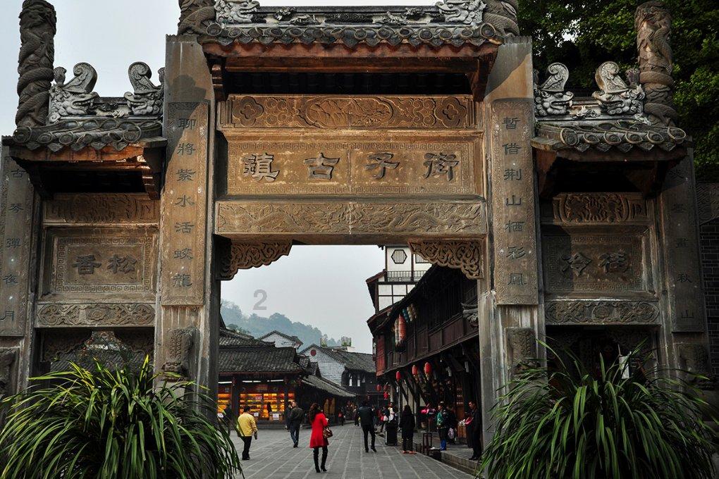 动物帮帮忙保卫家园